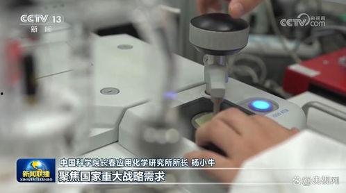 国产乱h在线,揭秘网络迷雾中的暗流涌动