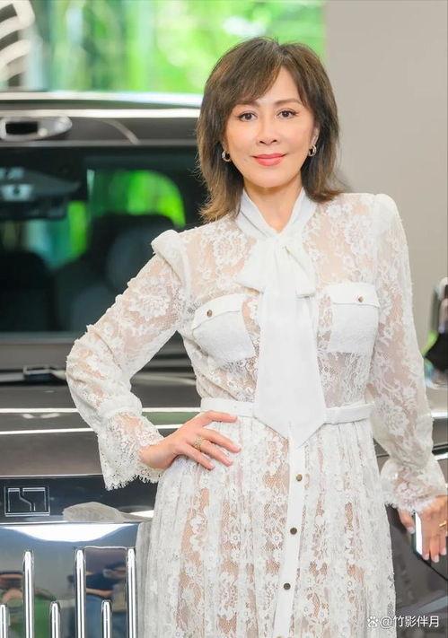 刘嘉玲 国产 在线,国产影视界的璀璨明珠