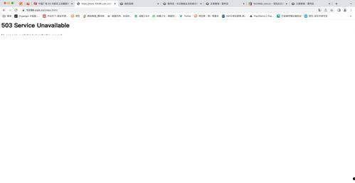 国产资源在线192,深度解析我国资源领域的创新与发展