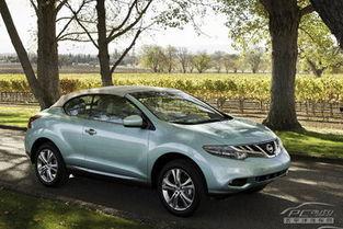 国产日产综合在线观看