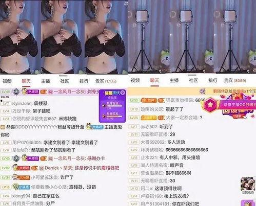 国产上门在线播放,上门在线播放，畅享精彩瞬间