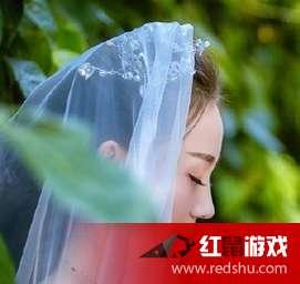 爱的香气国产在线观看,国产情感剧在线观看，浪漫温馨情感之旅