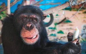 国产又黄又爽刺激在线观看,激情四溢，畅享视听盛宴